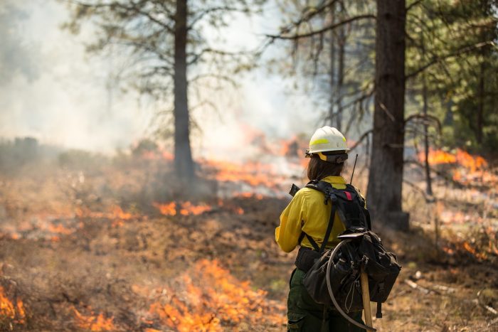 5 Tips for Wildfire Safety & Prevention thumbnail